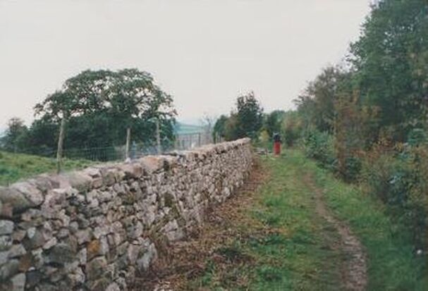 Canal Boundary Wall team 5