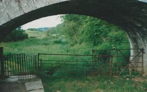 Image description