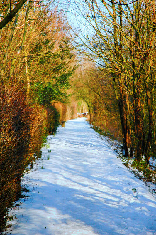snow alomg Sedgwick Canal Wildlife Area