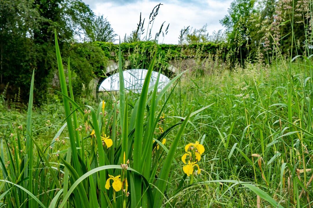 improved wetland 