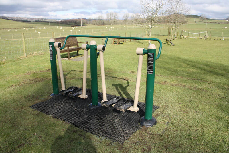 adult fitness equipment 