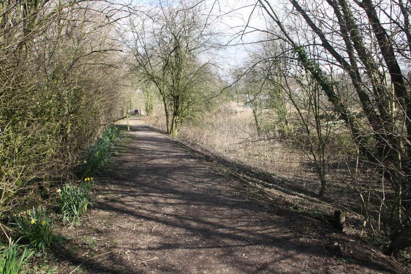 Sedgwick Canal Wildlife Area in spring 