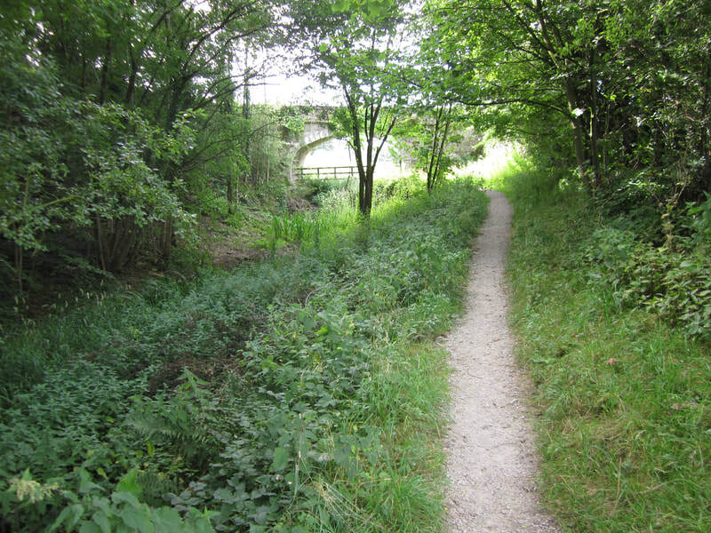 a path at Sedgwick Canal Wildlife Area