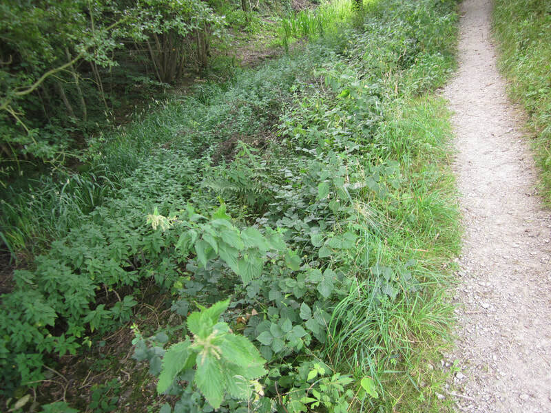Wildlife Area