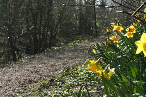 improved wetland 2