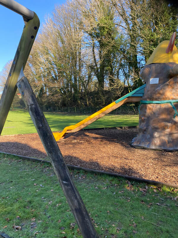 tree slide