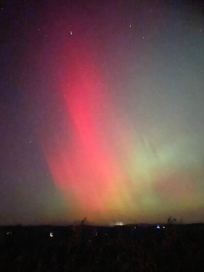 An image of the Northern Lights viewed from Natland Road Sedgwick