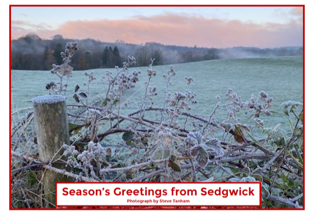Picture of Xmas newsletter 2020