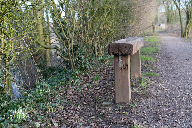 a bench at Sedgwick Canal Wildlife Area