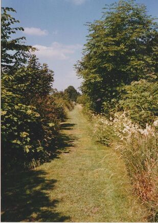 Canal Boundary Wall 